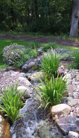A small stream cascades through a rock garden with green plants and trees in the background.