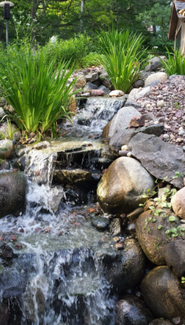 Waterfall cascading over rocks with lush green plants.