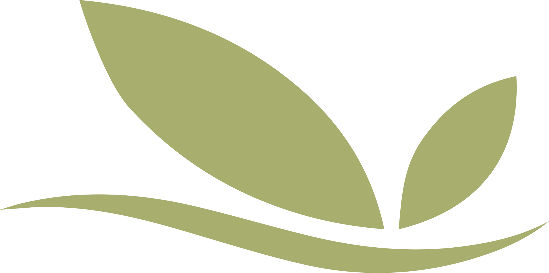 Ethan's Lawn & Outdoor Luxury