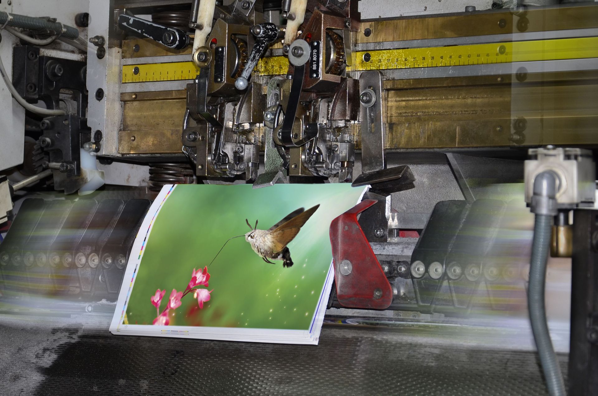 die cutting