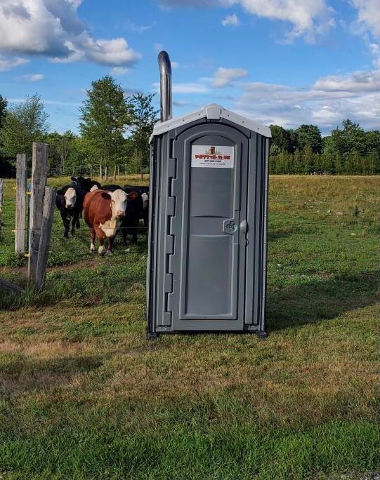 A portable toilet in a field with cows in the background