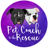 Petcoach 2024 near me