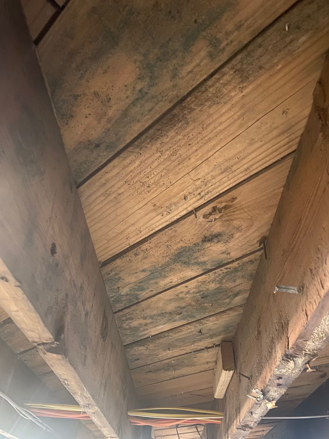 A close up of a wooden ceiling with mold.