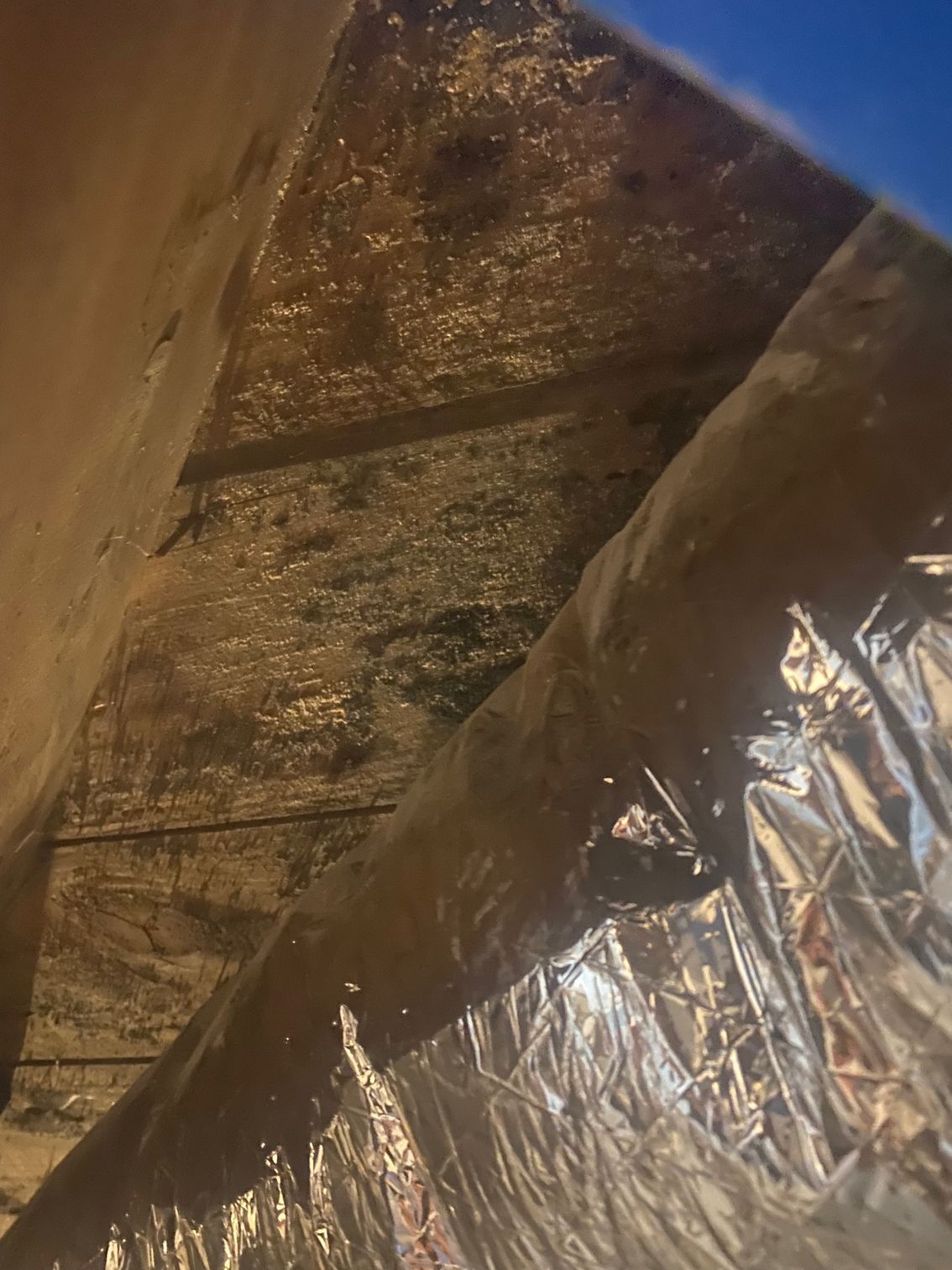 A close up of a ceiling with mold on it.