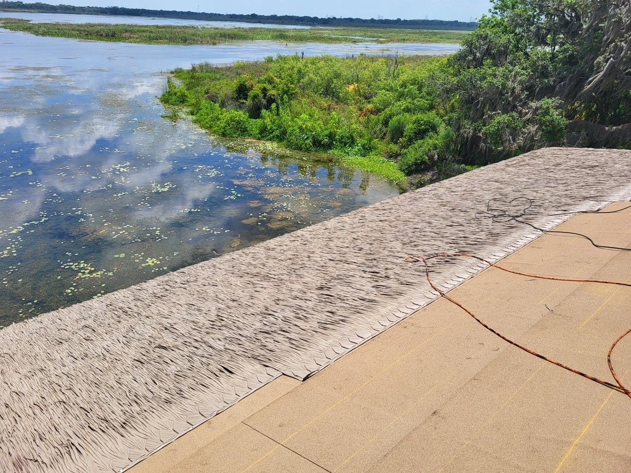 Wetland boardwalk beside calm water with green plants and blue sky