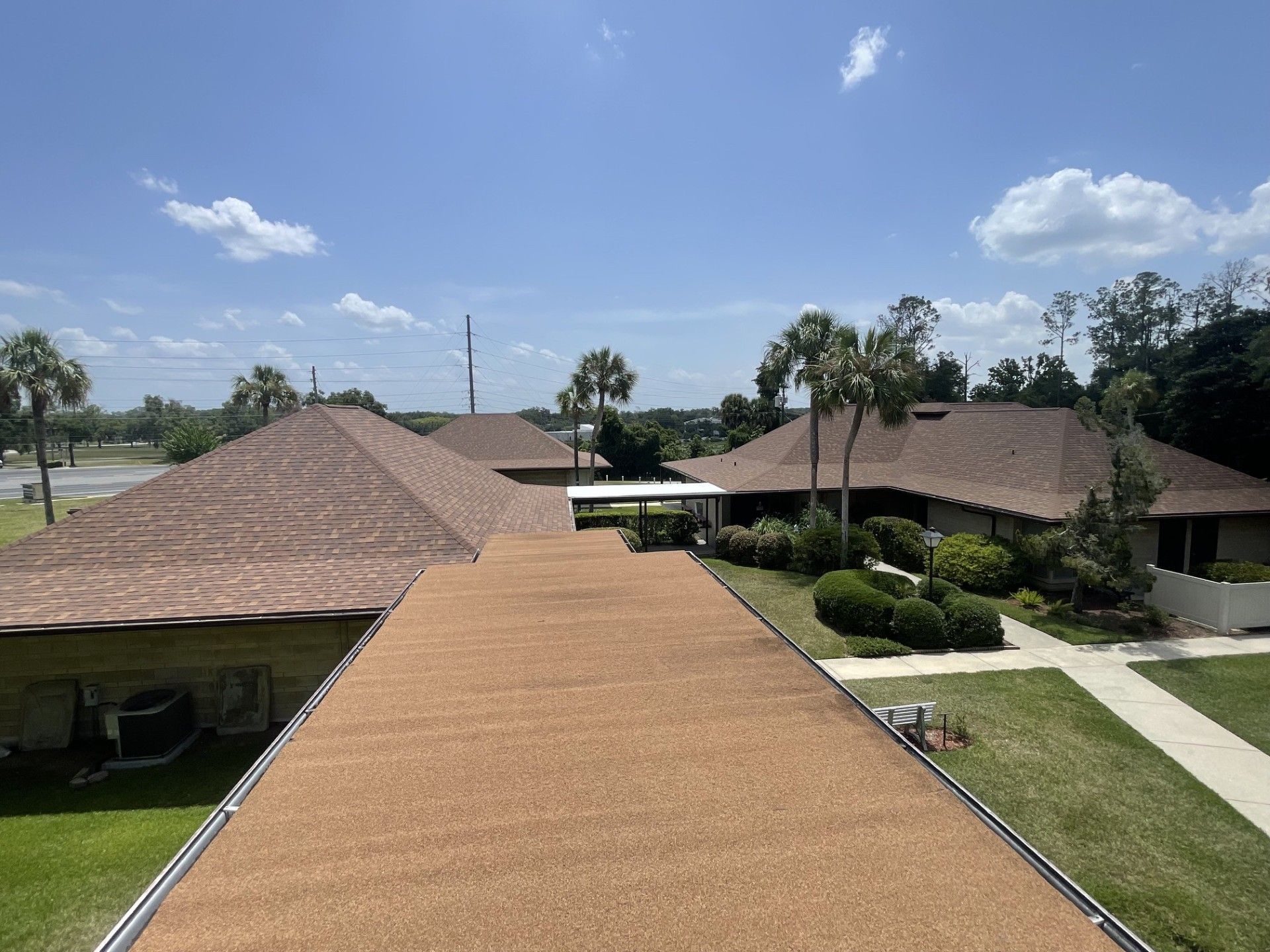 Rooftop view of a tropical neighborhood with tan roofs, palm trees, and a bright blue sky