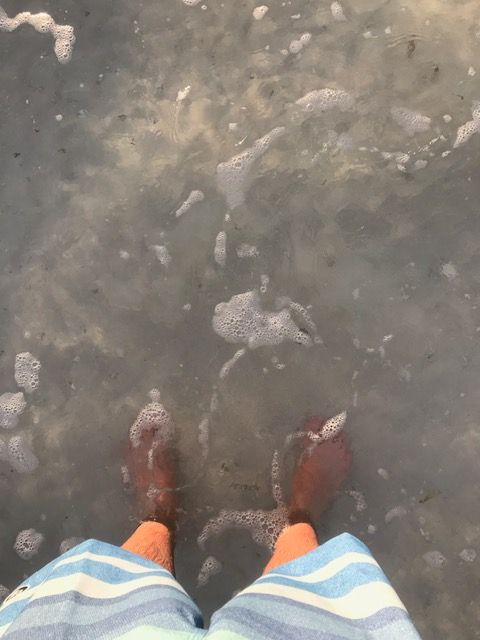 Close-up of bright green banana leaves, displaying prominent veins and textured surface.