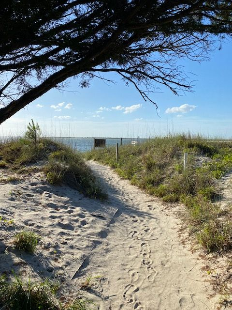 Sandy path through dunes, leading to the ocean. Blue sky, green foliage, sunlight.