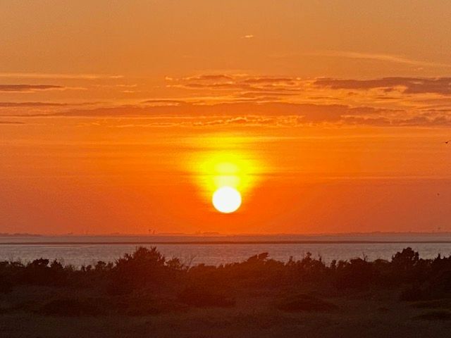 Close-up of a green leaf showing parallel veins and a textured surface, with a shadowed border.