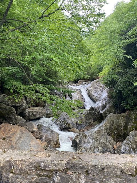 Large, blue ocean wave cresting, with white foam and spray against a cloudy sky.