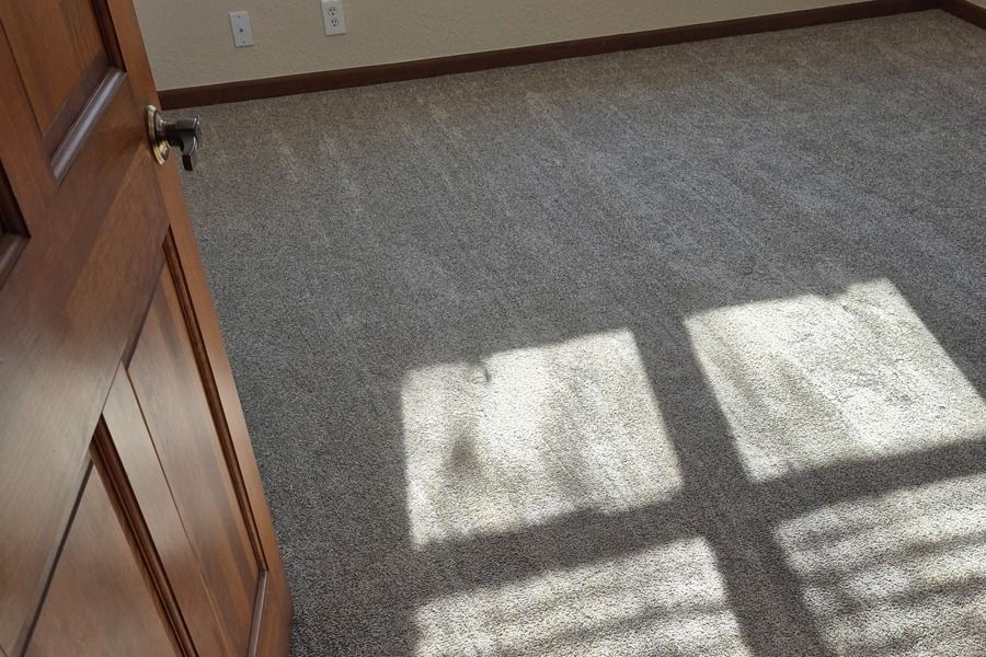 Empty carpeted room with sunlight streaming through window shadows on the floor