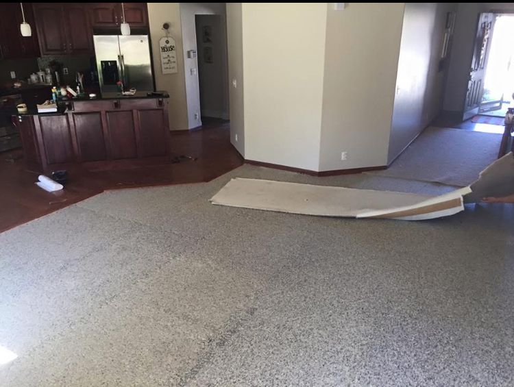 Living room with torn carpet near kitchen and hallway doorway