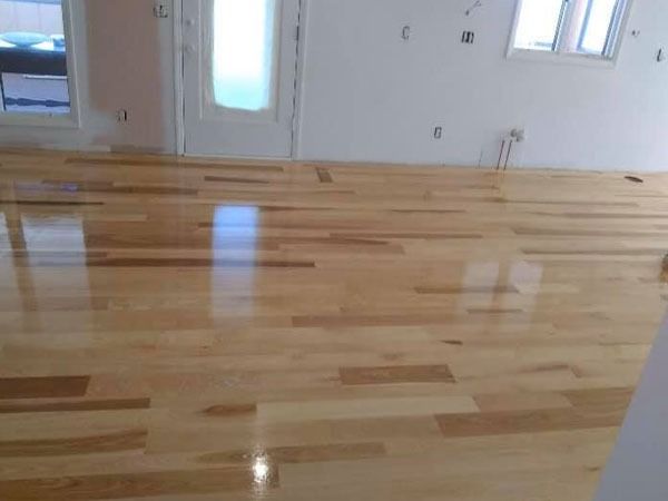 Empty room with a glossy hardwood floor and white walls, lit by windows and a glass-paneled door.