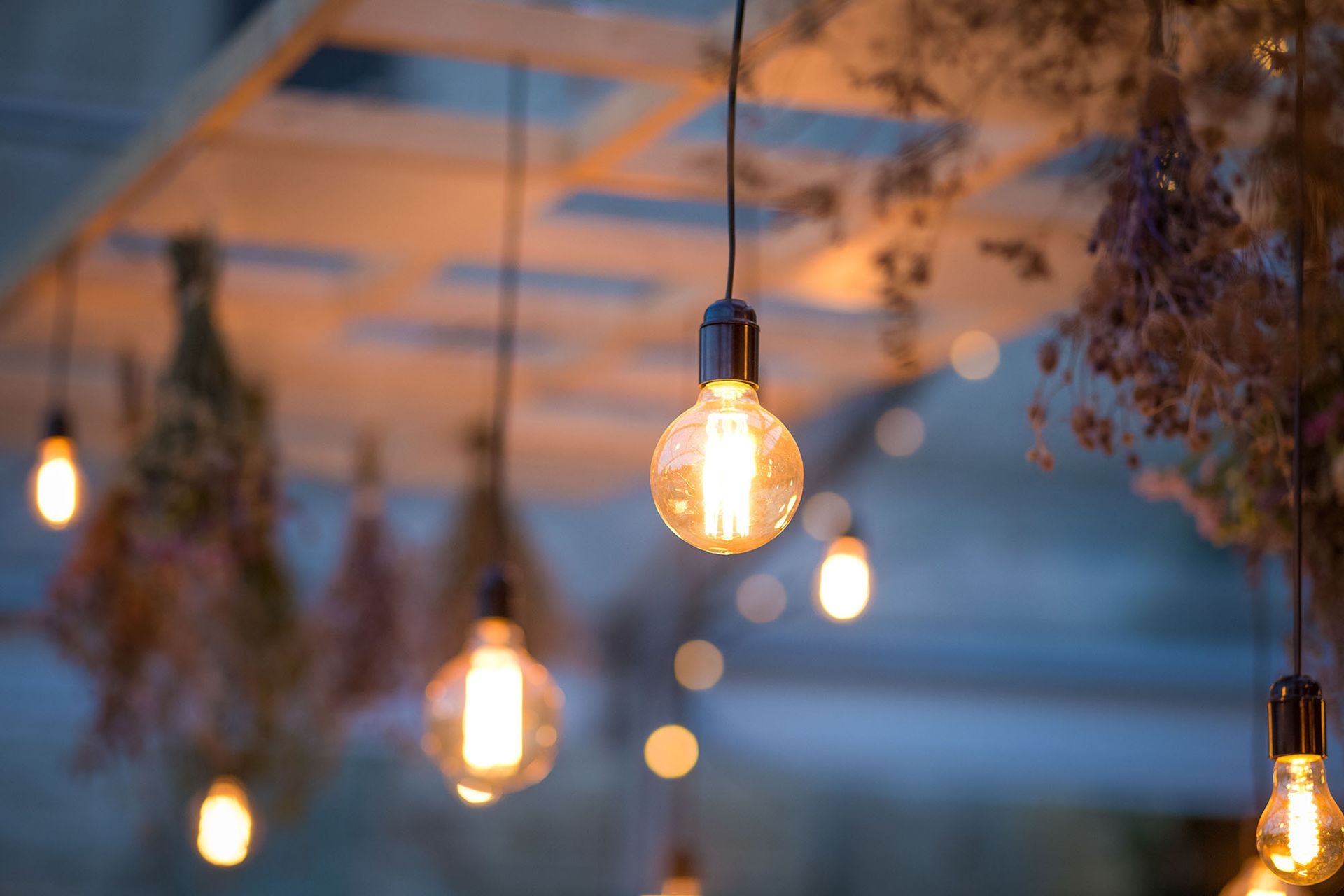 A bunch of light bulbs hanging from the ceiling in a room.