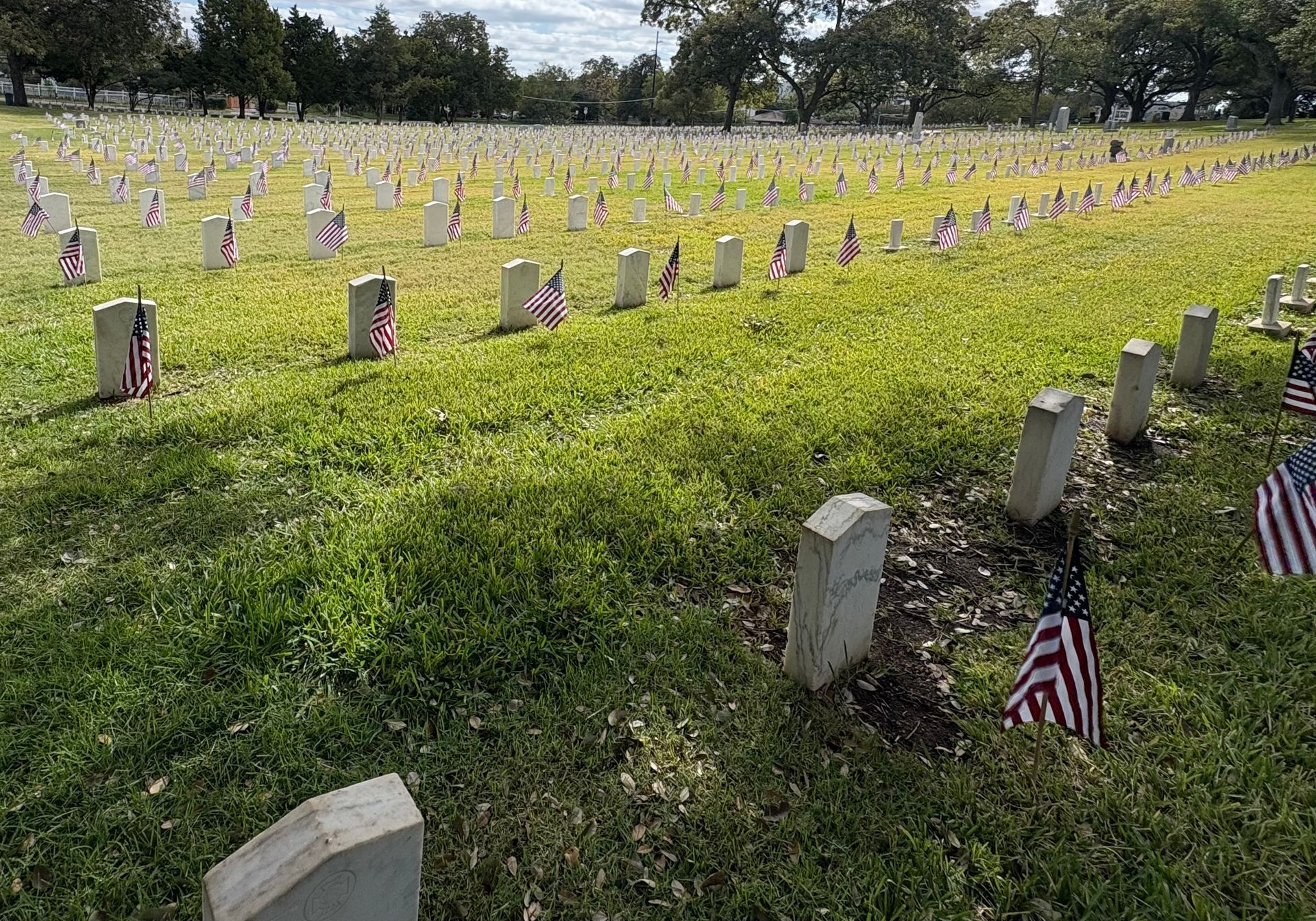 Rows of gravestones with American flags, in a grassy cemetery.