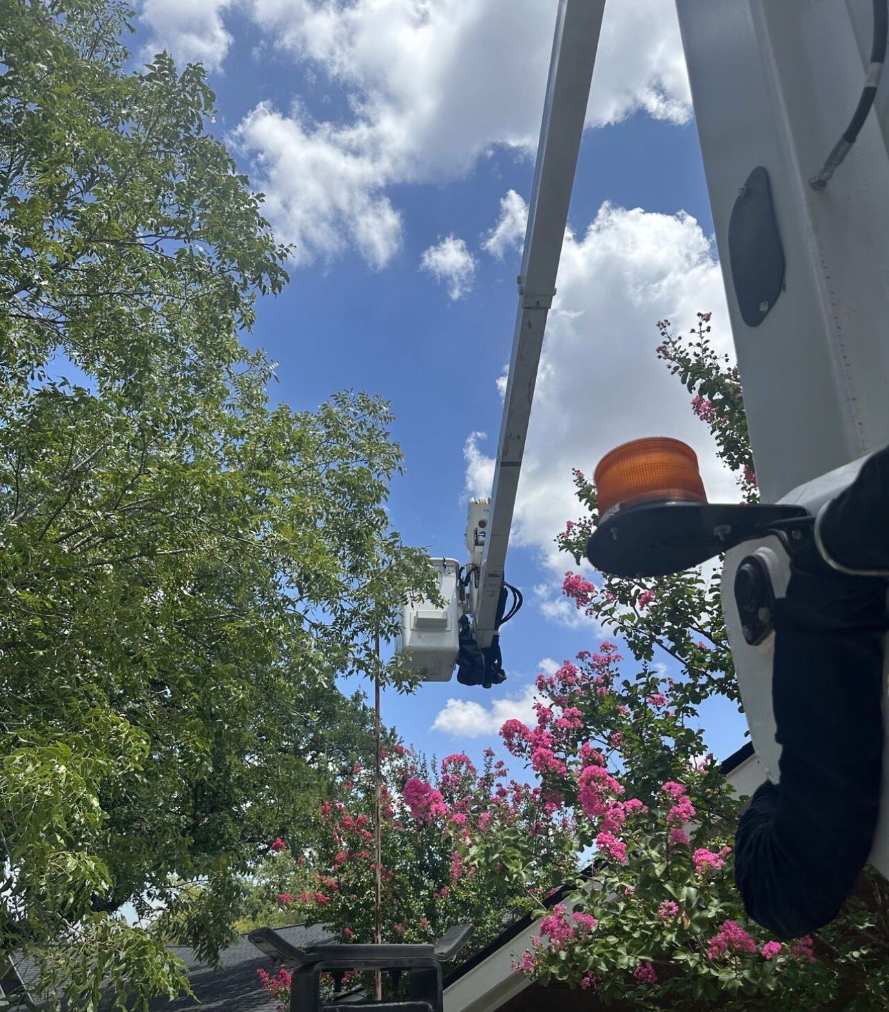 Bucket truck elevated near trees, under a blue sky with clouds.