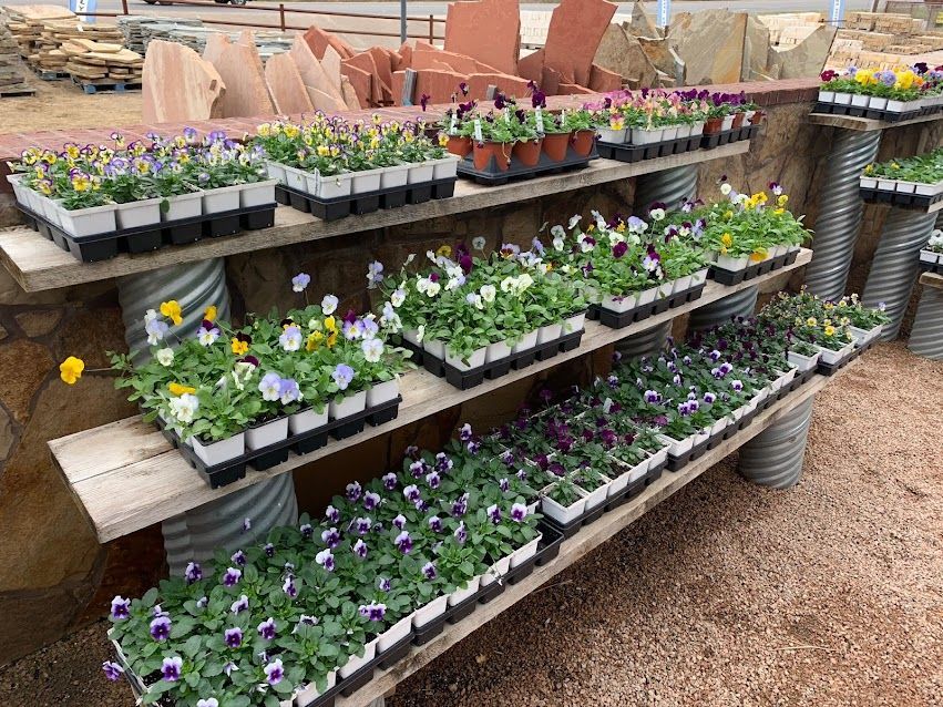 There are many different types of flowers on the shelves.