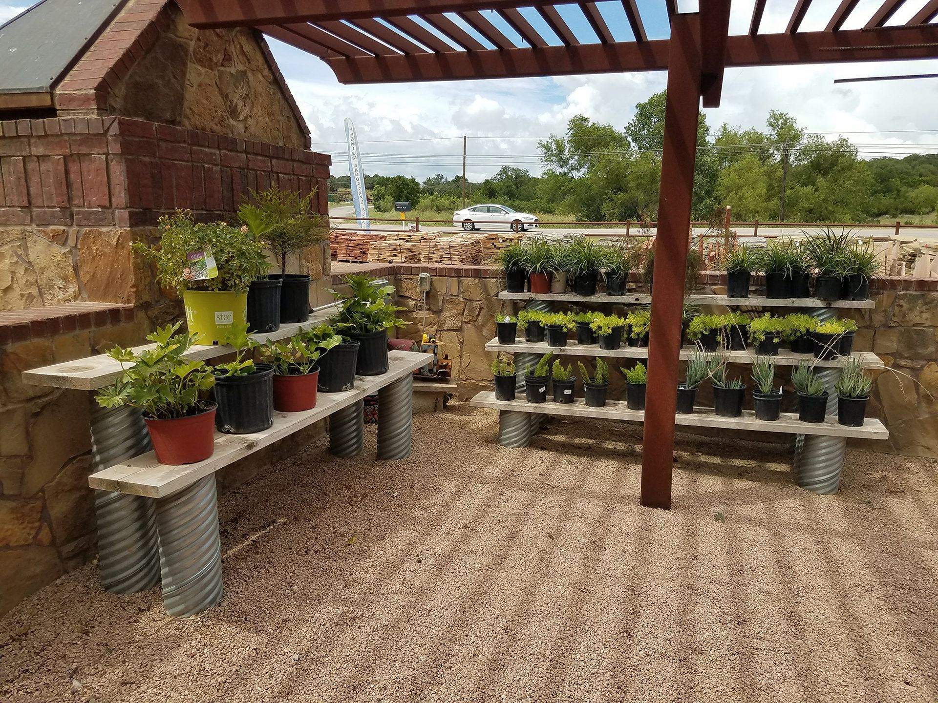 A bunch of potted plants are sitting on a bench under a pergola.
