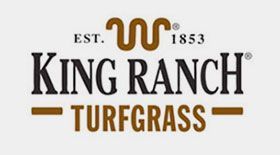 King Ranch Turfgrass