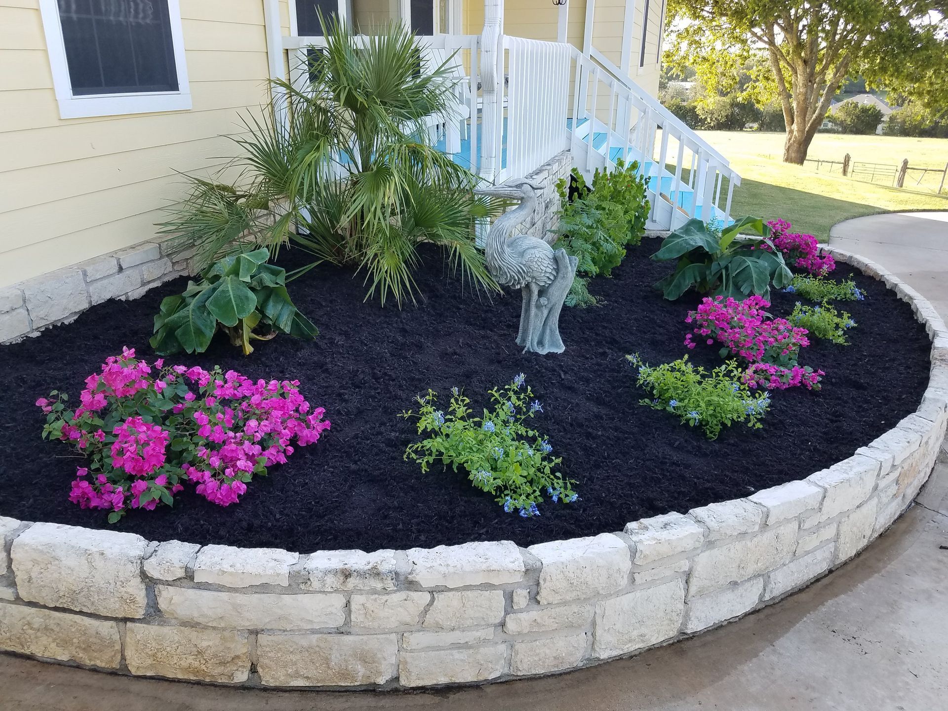 A garden with pink flowers and black mulch in front of a house