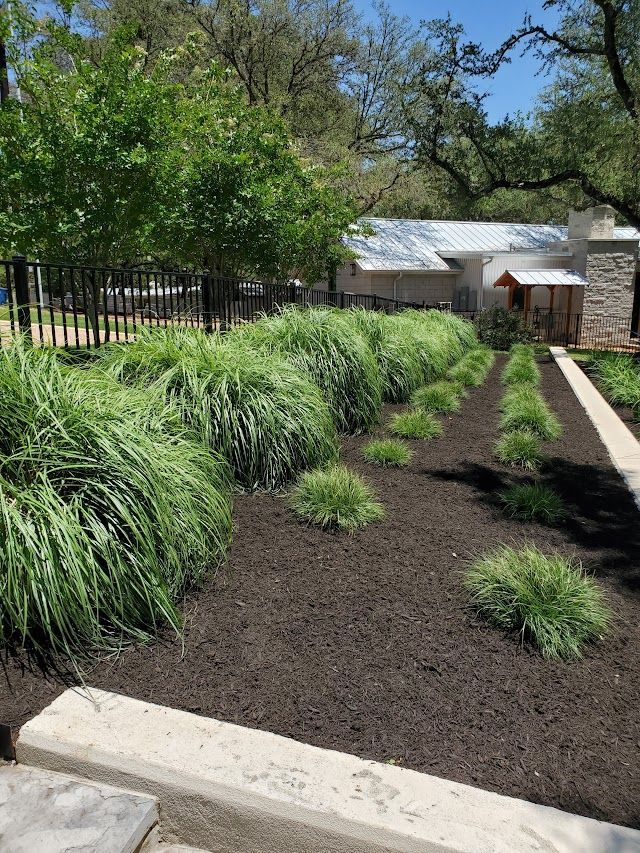 A lush green garden with a house in the background.
