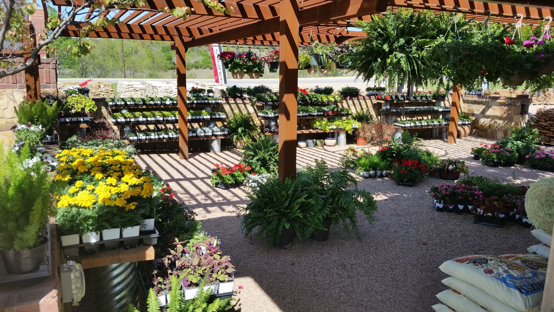 Outdoor plant nursery with plants on shelves and the ground, under a wooden pergola.