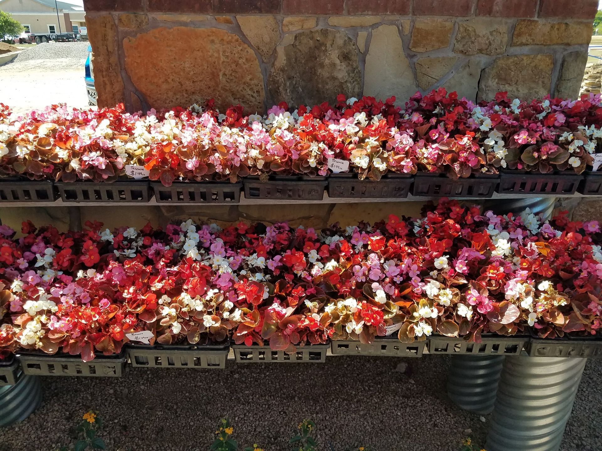A bunch of flowers are sitting on a metal shelf