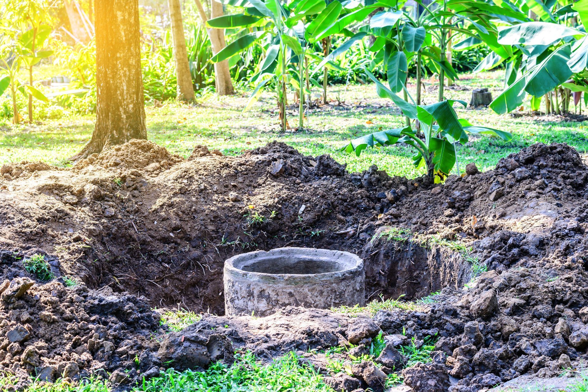 A newly dug circular pit with a concrete ring in a leafy outdoor area, lit by bright sunlight