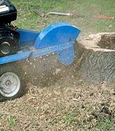 Stump grinding