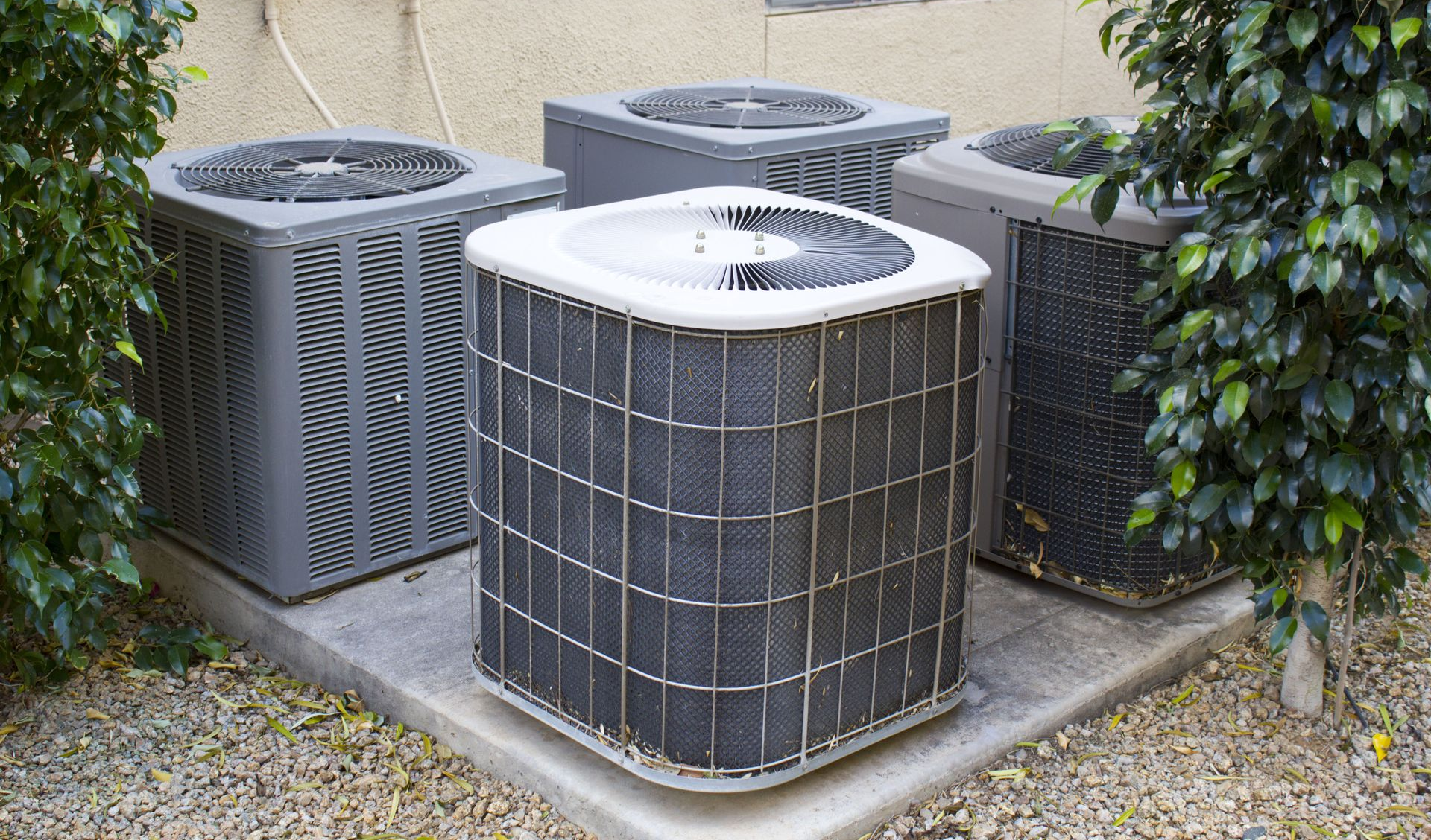 Four gray HVAC condenser units grouped together on a concrete pad surrounded by gravel and leafy green bushes.