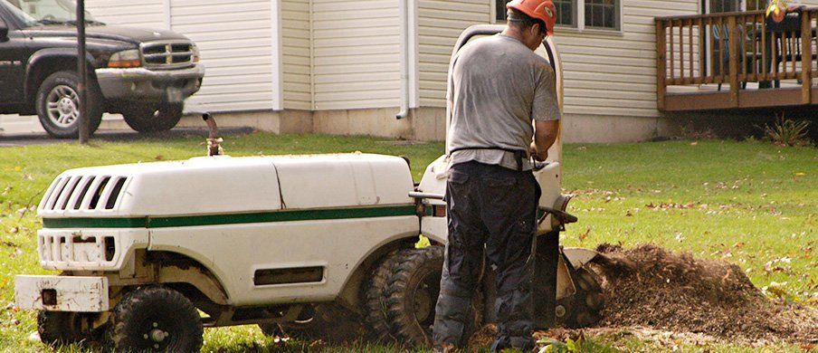 Stump Grinding | Tree Removal Services | Lancaster, PA