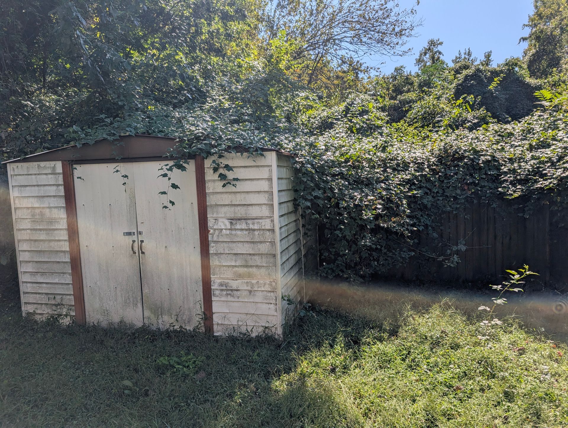 Weathered wooden shed in an overgrown backyard with trees and a fence in the background