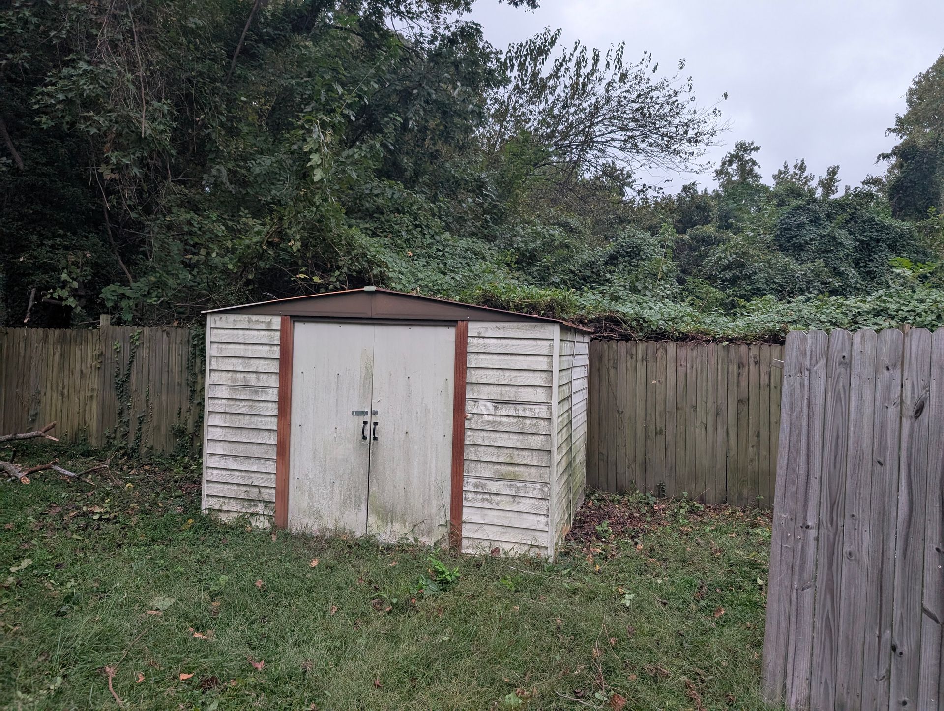 Small white shed with a brown roof in a grassy backyard, bordered by wooden fences and trees.