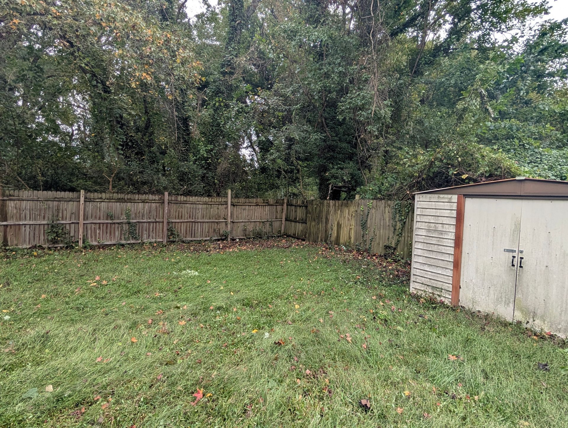 Backyard with grass, wooden fence, trees, and a small shed on the right.