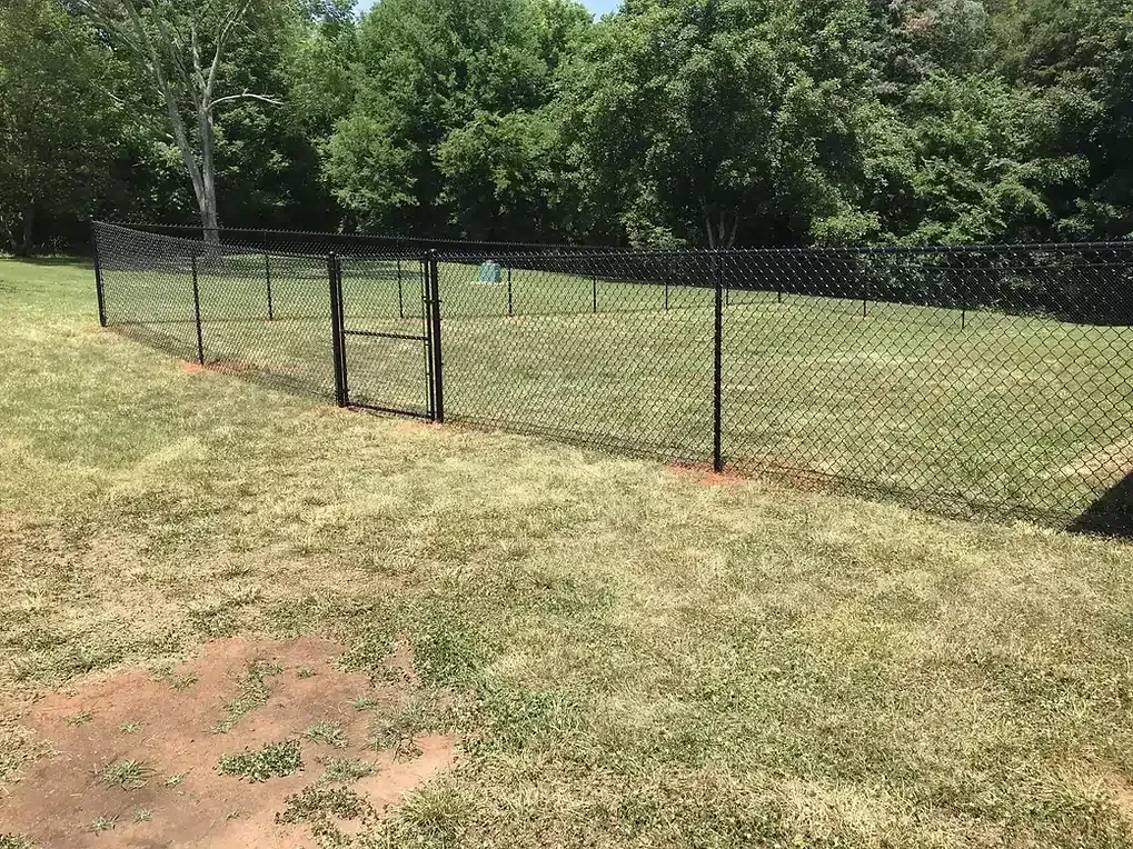 Black chain-link fence encloses a grassy yard, with a gate, trees in the background, and a bright, sunny sky.