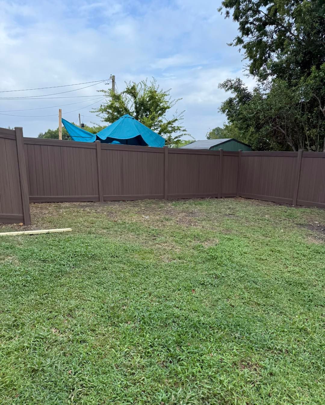 Brown fenced yard with patchy green grass. A blue tarp and trees are visible in the background.