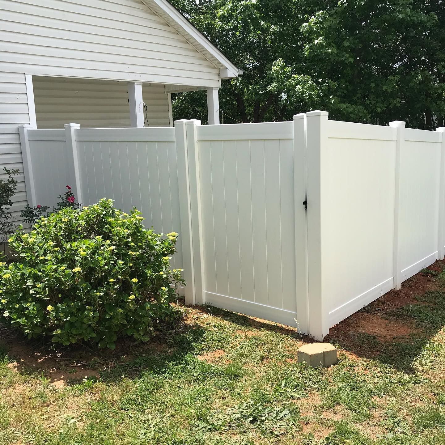 White vinyl fence enclosing a backyard with a gate, green grass, and a bush.
