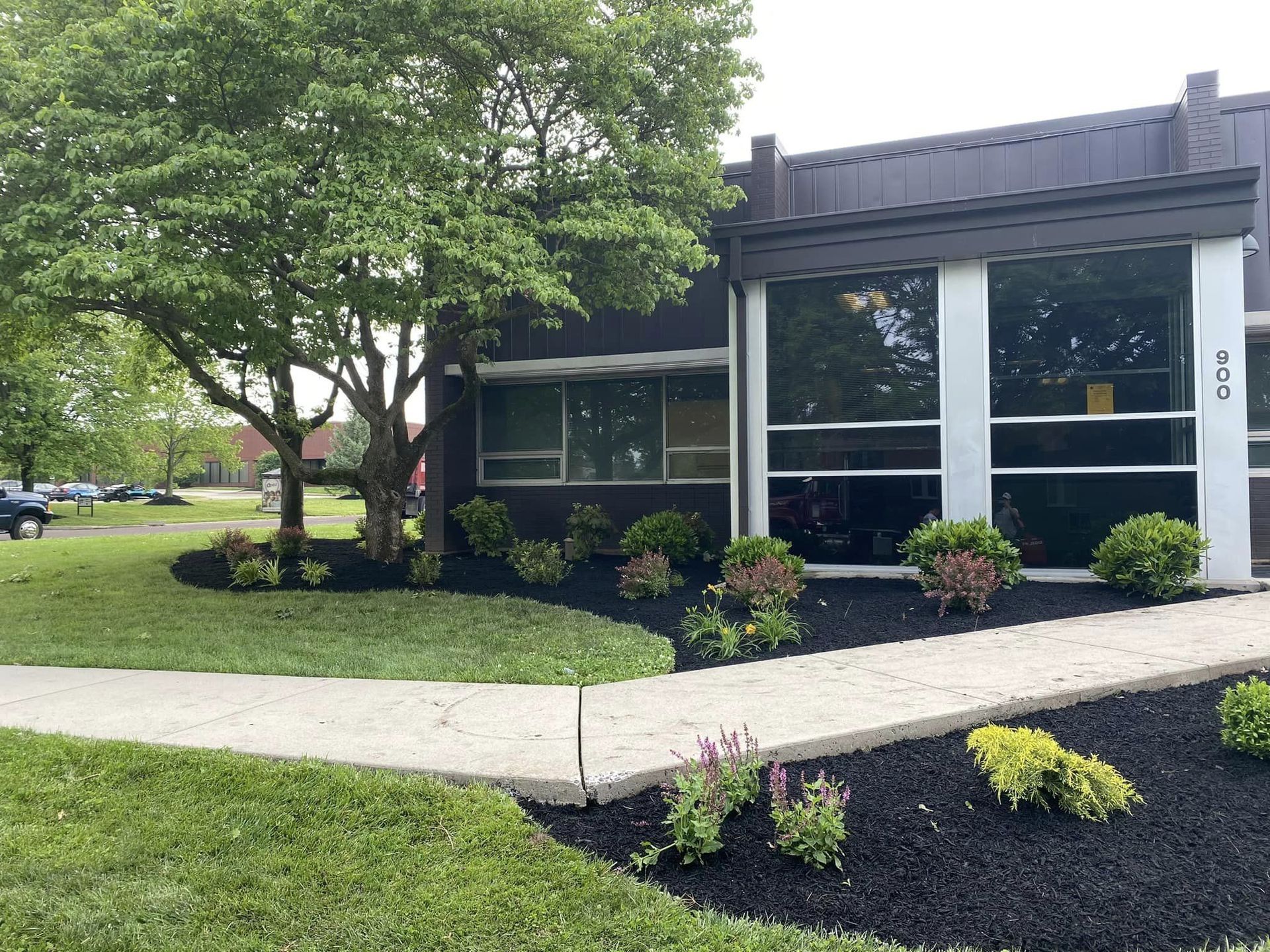 A building with a walkway leading to it and a tree in front of it.