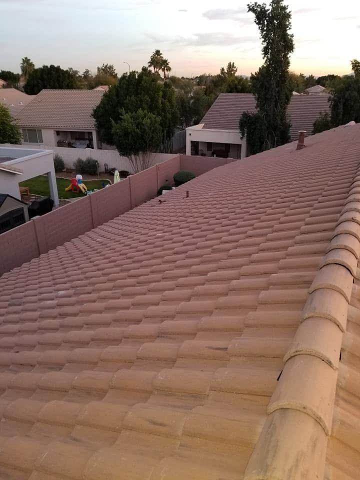 View from a tiled rooftop at dusk over suburban houses and trees