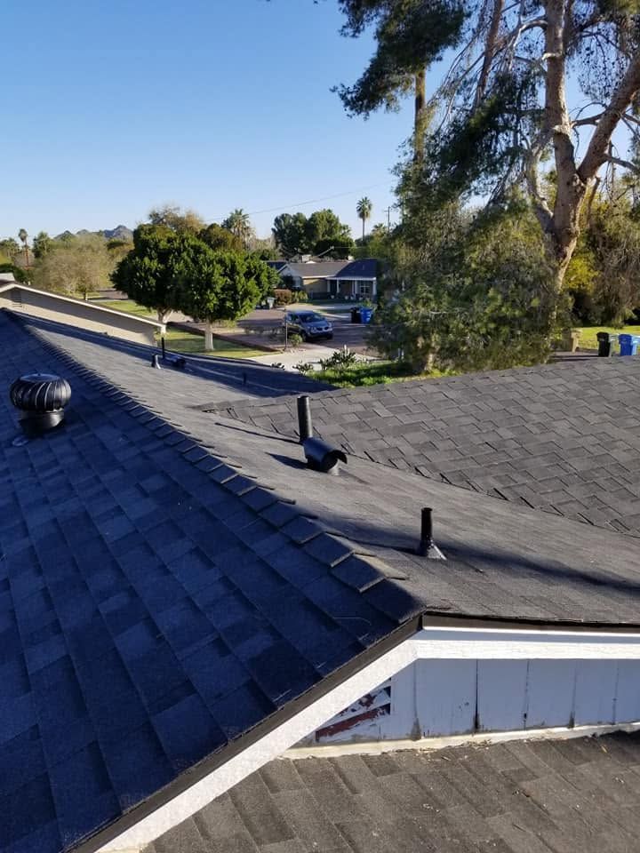 Rooftop shingles with vents overlooking a sunlit suburban neighborhood and trees