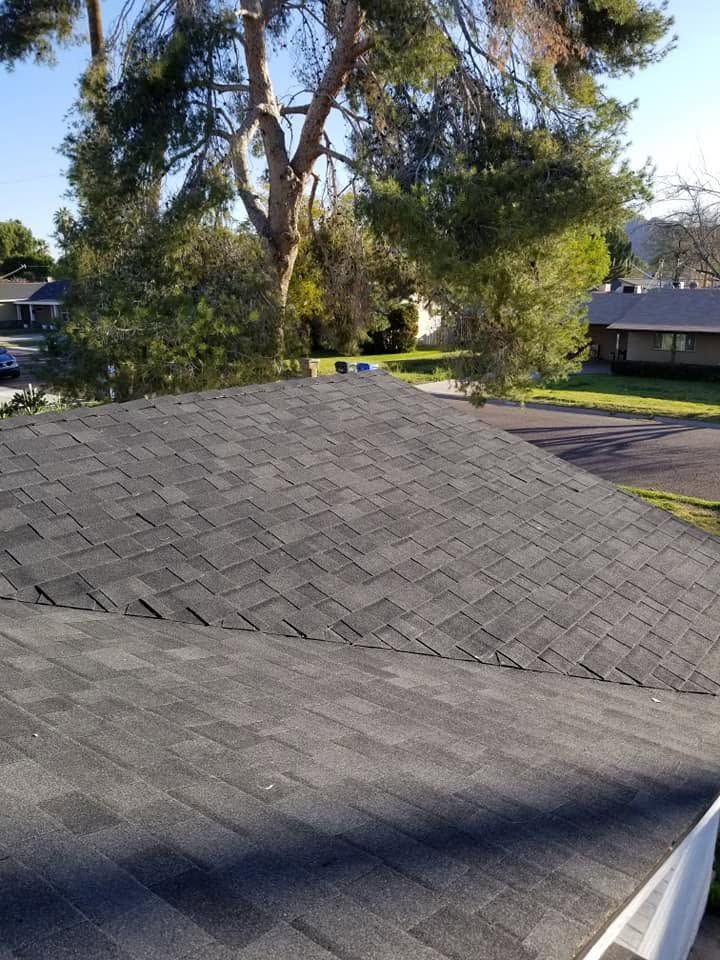 Shingled roof in the foreground with trees and suburban houses in the background on a sunny day