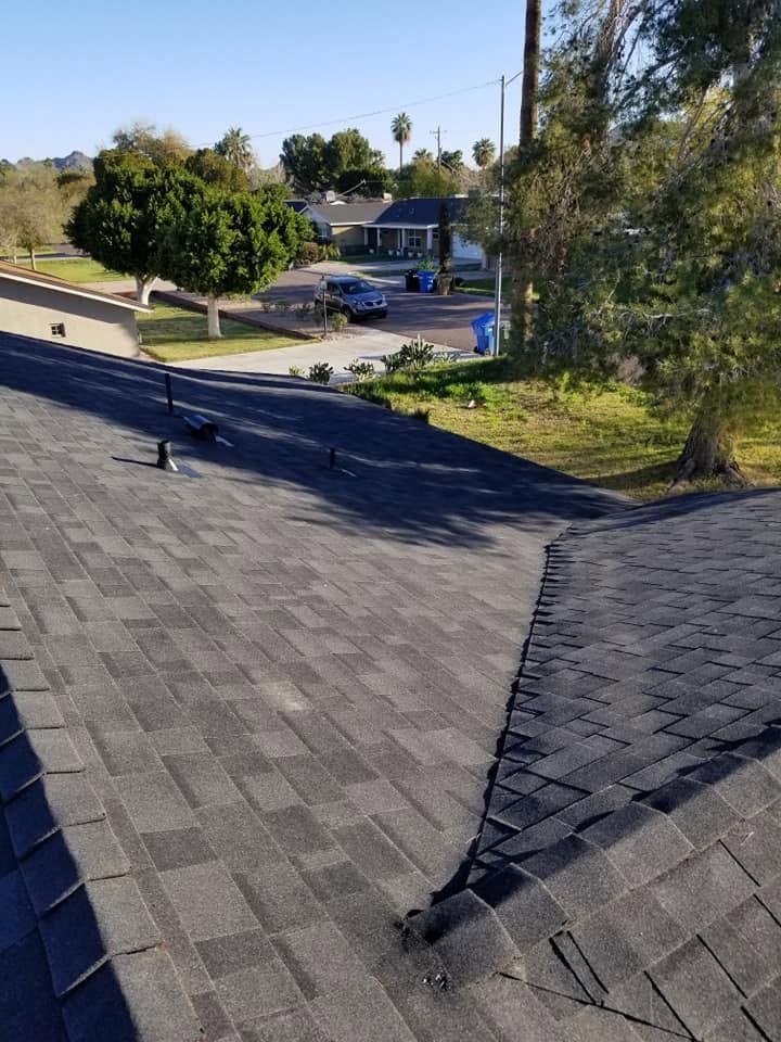 Rooftop shingles overlooking a suburban street, trees, parked cars, and houses in sunlight.