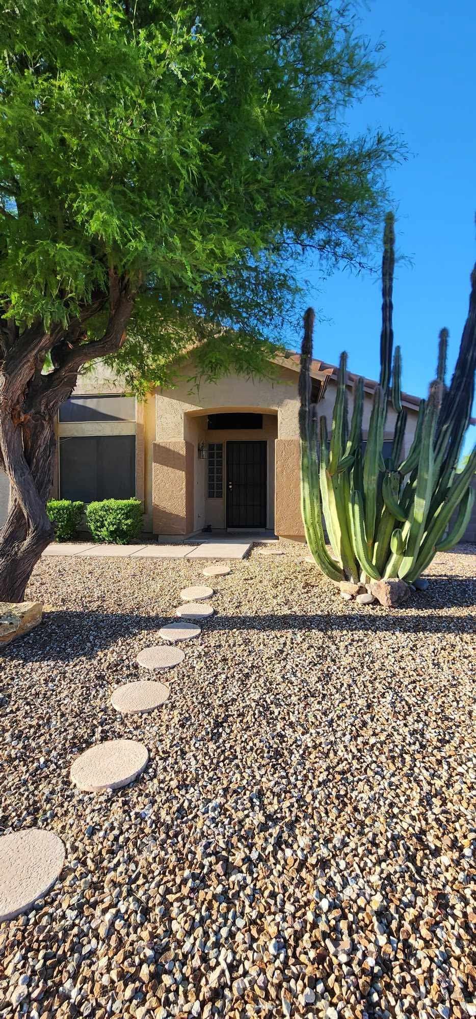 Desert home entrance with cactus, trees, and gravel landscaping in bright sunlight