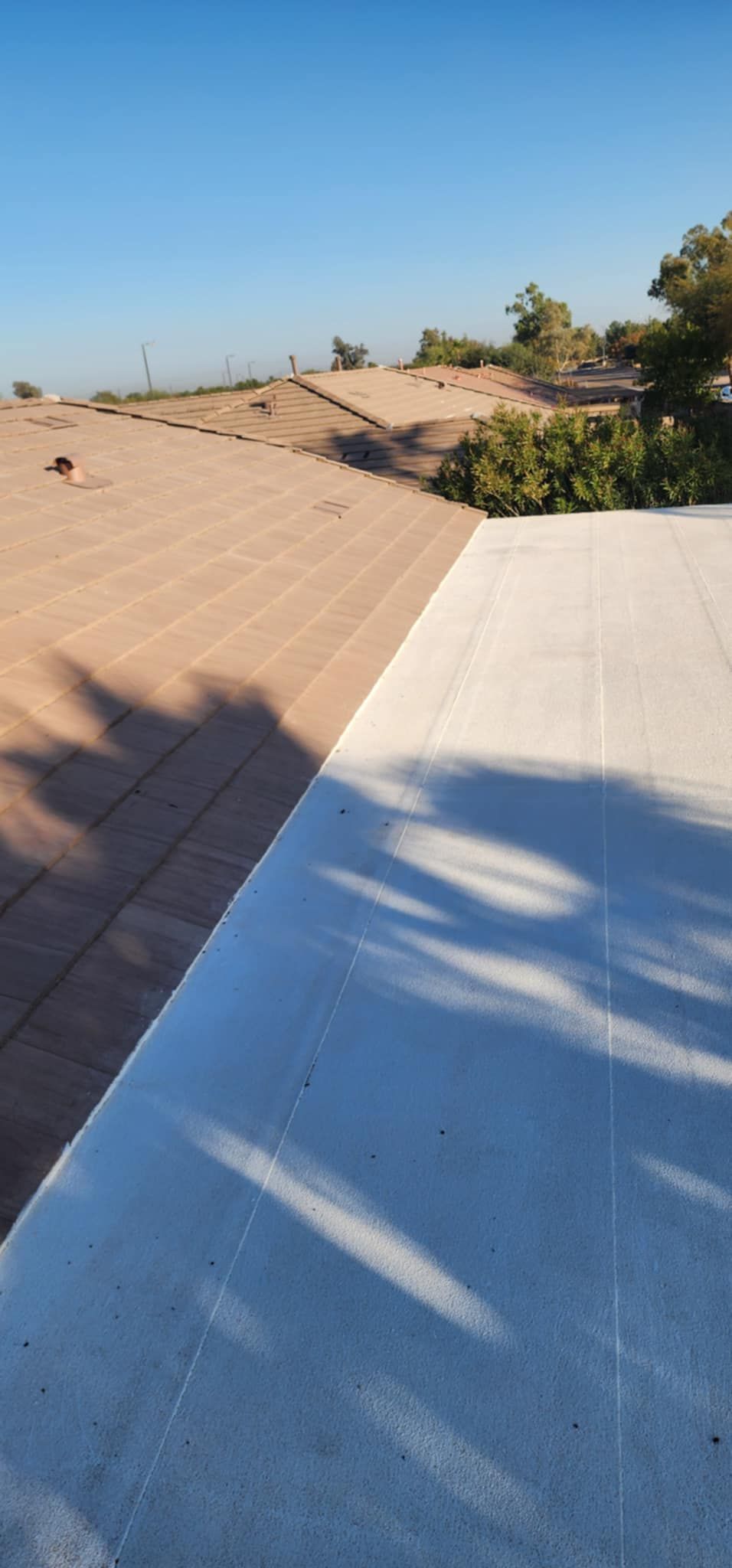 Rooftop with white and tan sloped surfaces under a clear blue sky, trees in the distance.