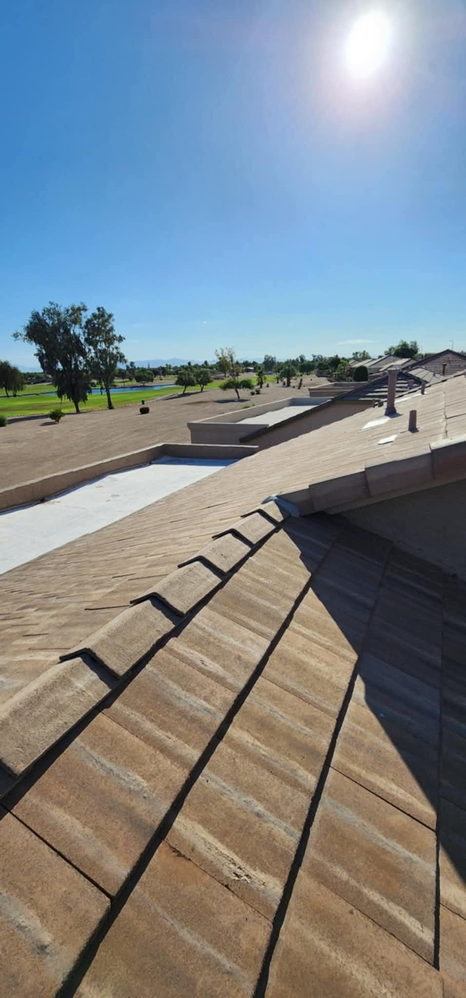 Sunny outdoor park with ramps and a wooden deck, people walking in the distance