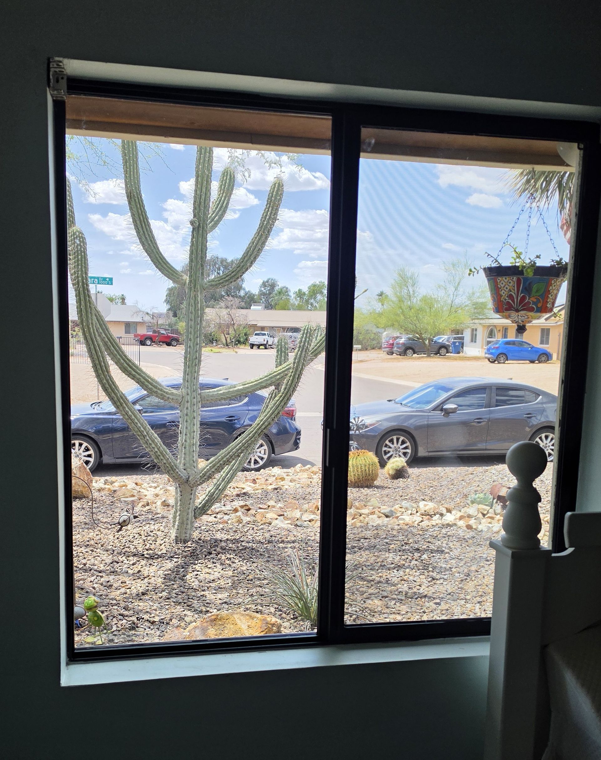View through a window of parked cars, a cactus, and bright blue sky outside.