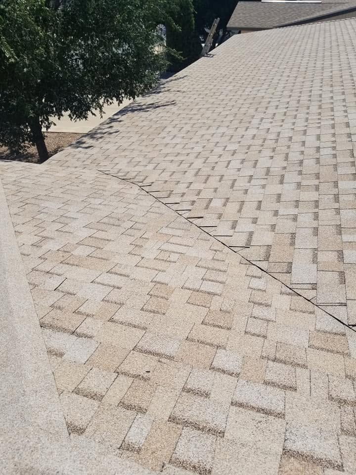 Paved stone walkway with a diagonal seam beside bushes and a sloped brick surface