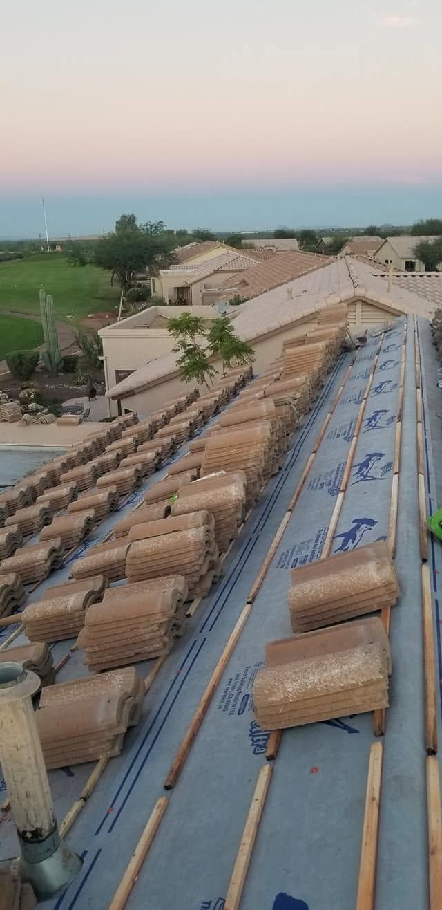 Rows of thatched bundles on a sloped blue rooftop at sunset, overlooking green fields and trees