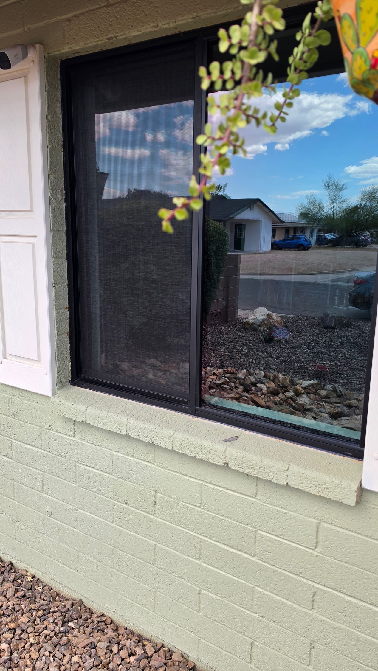 Black mesh window screen on a pale green house wall, with white trim and hanging vine leaves above.