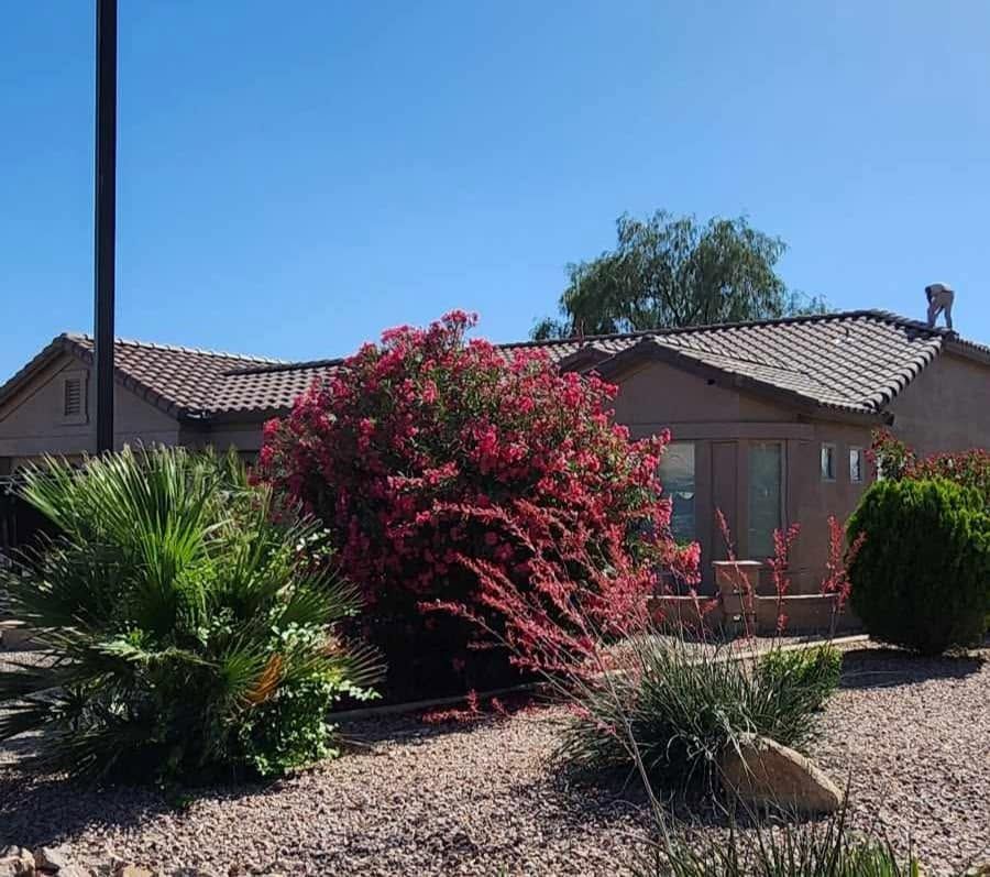 Single-story house with a tiled roof, desert landscaping, and bright pink flowering shrubs under a clear blue sky